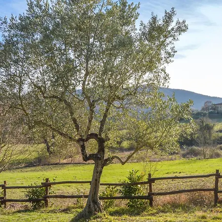 Appartamento 1 Bedroom Cozy In *