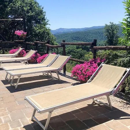 1 Bedroom Cozy In Appartamento *
