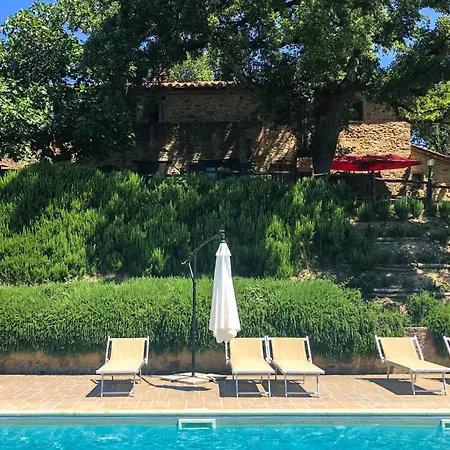1 Bedroom Cozy In Appartamento *